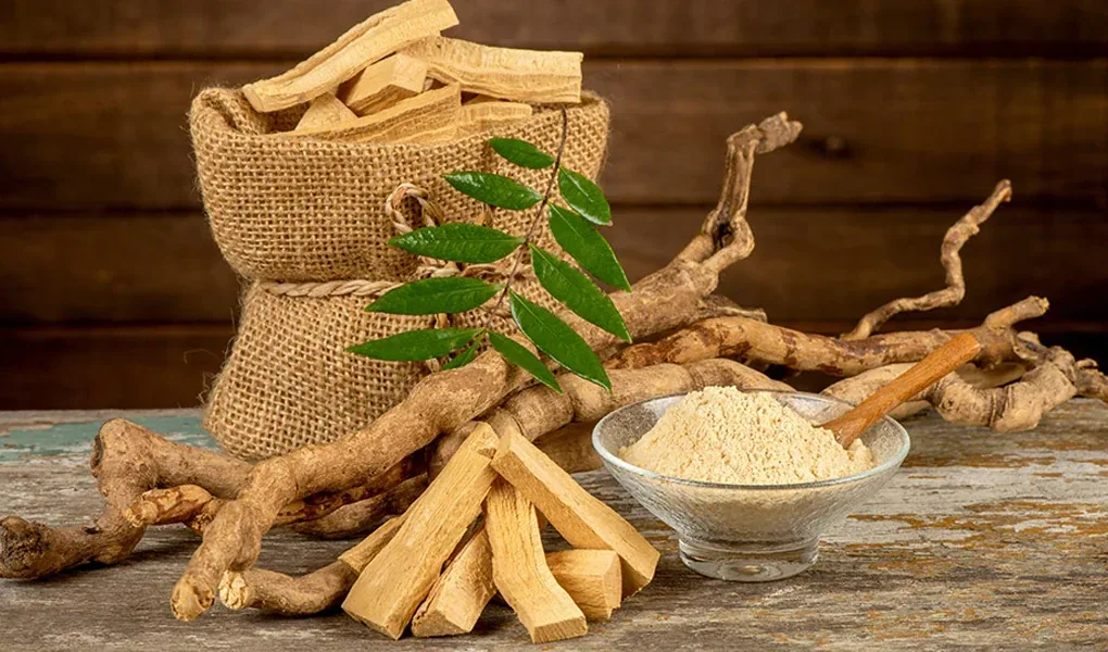 Tongkat Ali root